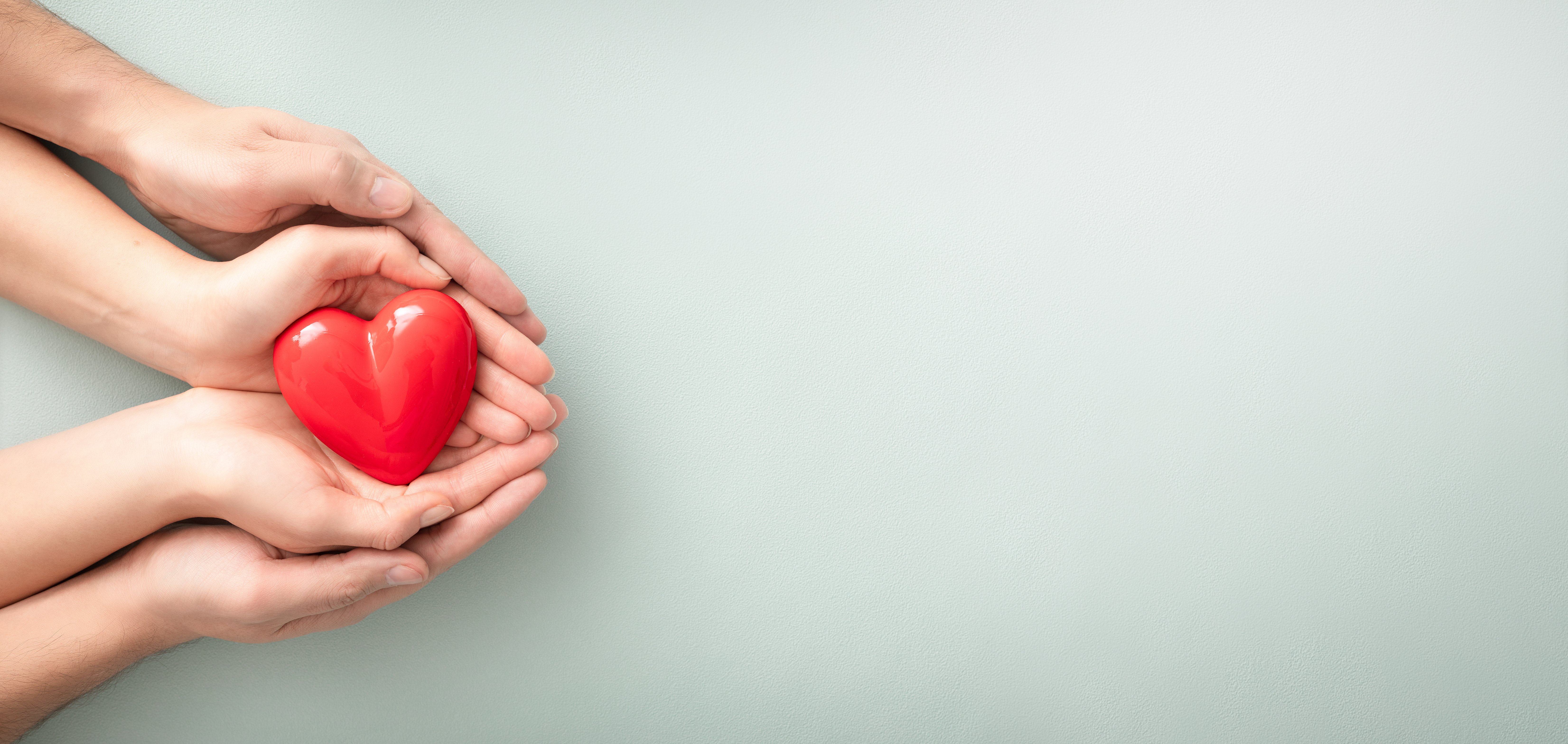 Adult and Child's Hands Holding Heart on Gray Banner Background